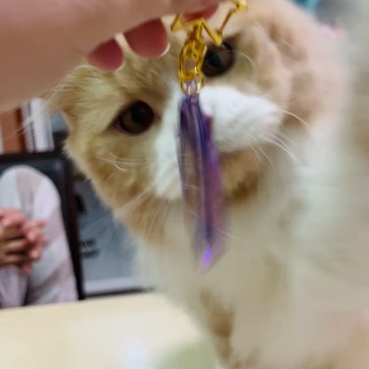 King Endy Acrylic Keychain - Moonie Series